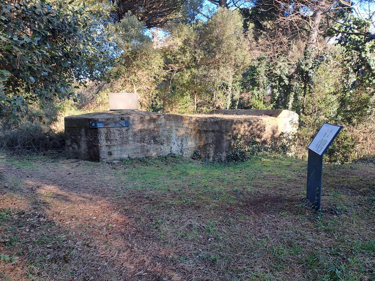 Bunker  Ringstand VF 31