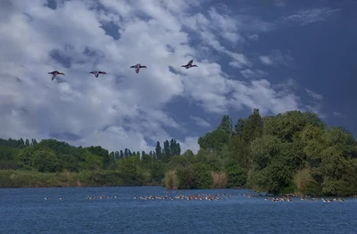 Dal cuore della città estense un percorso circolare tra terra e acqua