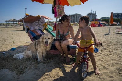 Pet-friendly beach establishments