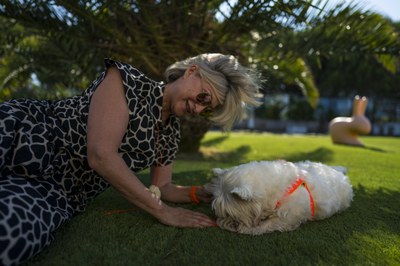 Summer night and holiday veterinary service