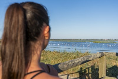 Tourism professionals