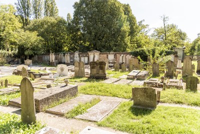 Jewish cemetery
