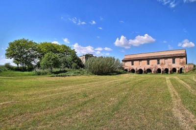 Chiavica dell'agrifoglio