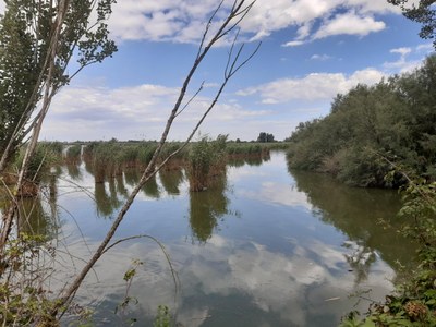 Anse Vallive of Porto – Bacino di Bando