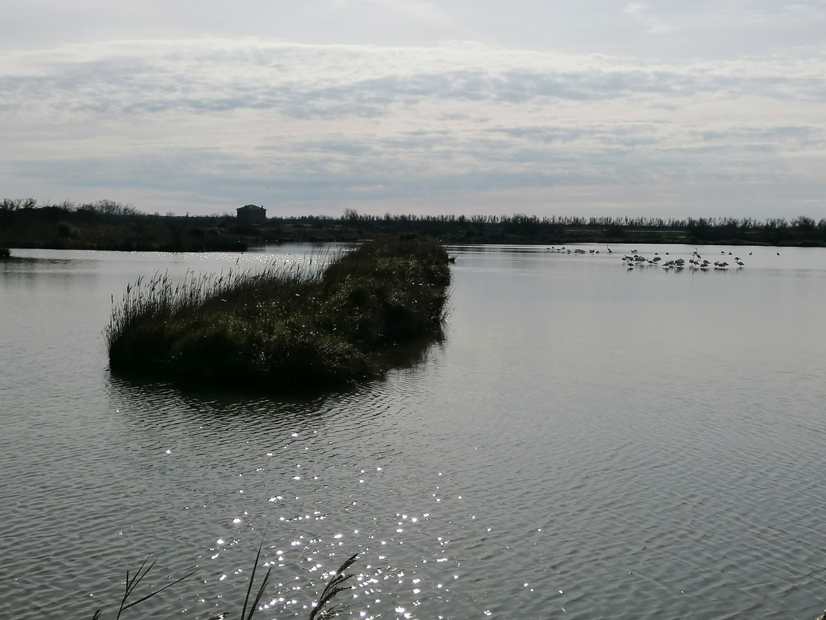 Oasi Canneviè e Porticino