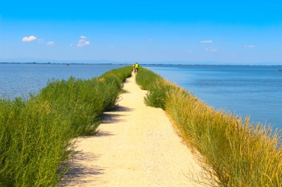 Uno splendido percorso sul nuovo argine delle Valli di Comacchio fra la stazione di pesca Bellocchio e Volta scirocco 