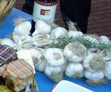 Aglio di Voghiera