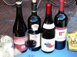 Merlot del Bosco Eliceo