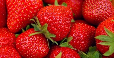 La Fragola di Lagosanto