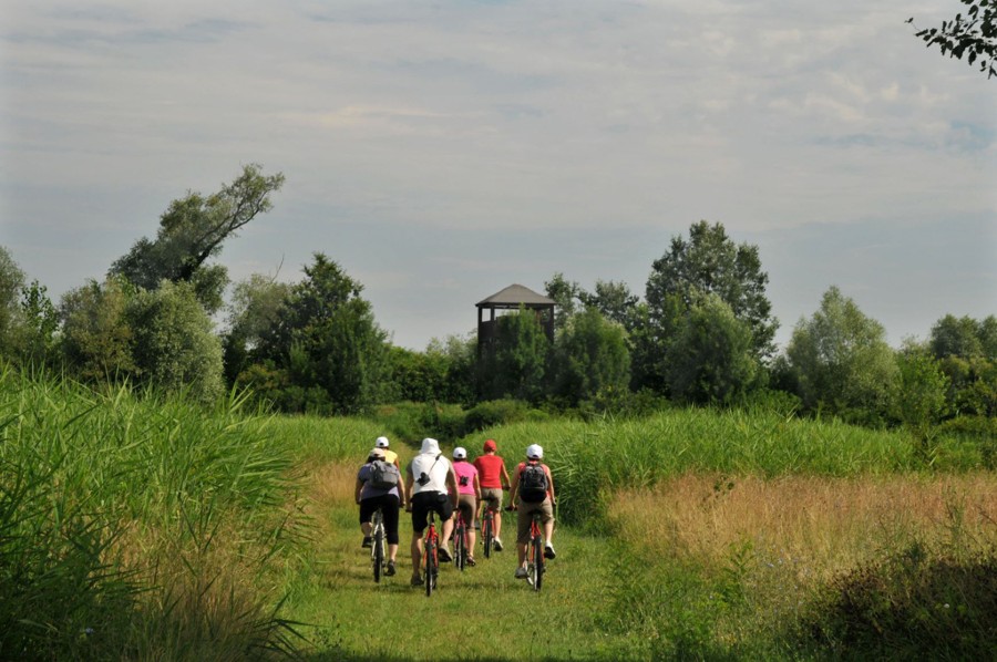pedalatadellasalute900_large.jpg