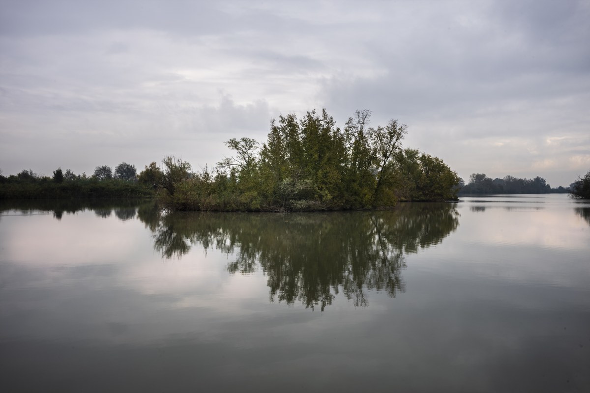 Anse Vallive di Ostellato