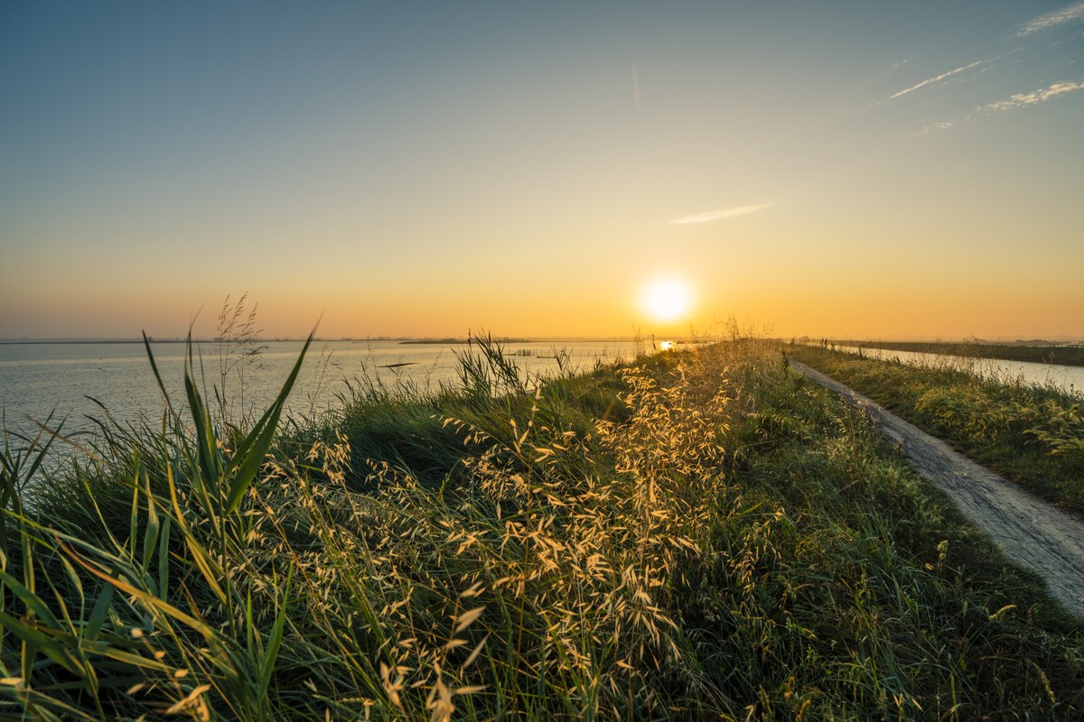 Oasi Valle Santa e Oasi Val Campotto