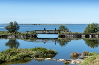 Una guida ambientale ti accompagnerà in un viaggio indietro nel tempo, alla scoperta di luoghi chiave della storia comacchiese