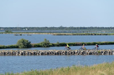 Noleggi bici Lido degli Estensi