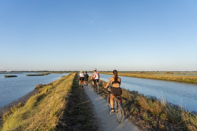 In bici tra il silenzio e i colori delle Valli di Comacchio