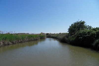Parco del Delta del Po - Stazione 1