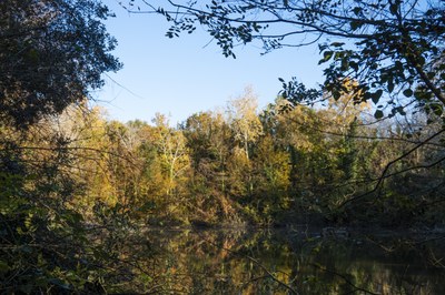 Oasi Naturale Bosco Spada