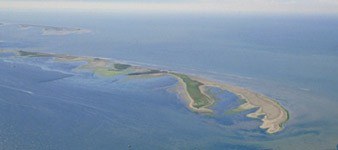 Scannone di Goro - Isola dell'Amore