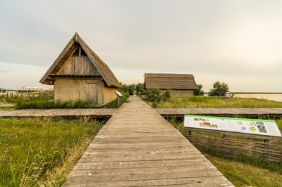 Sezione Open Air Museo Delta Antico