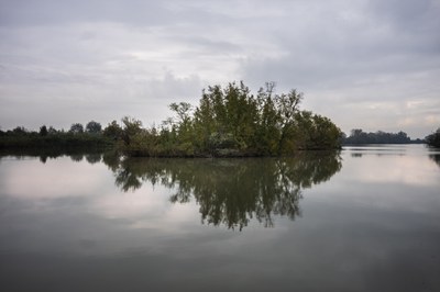 Anse Vallive di Ostellato