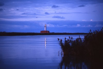 Gorino