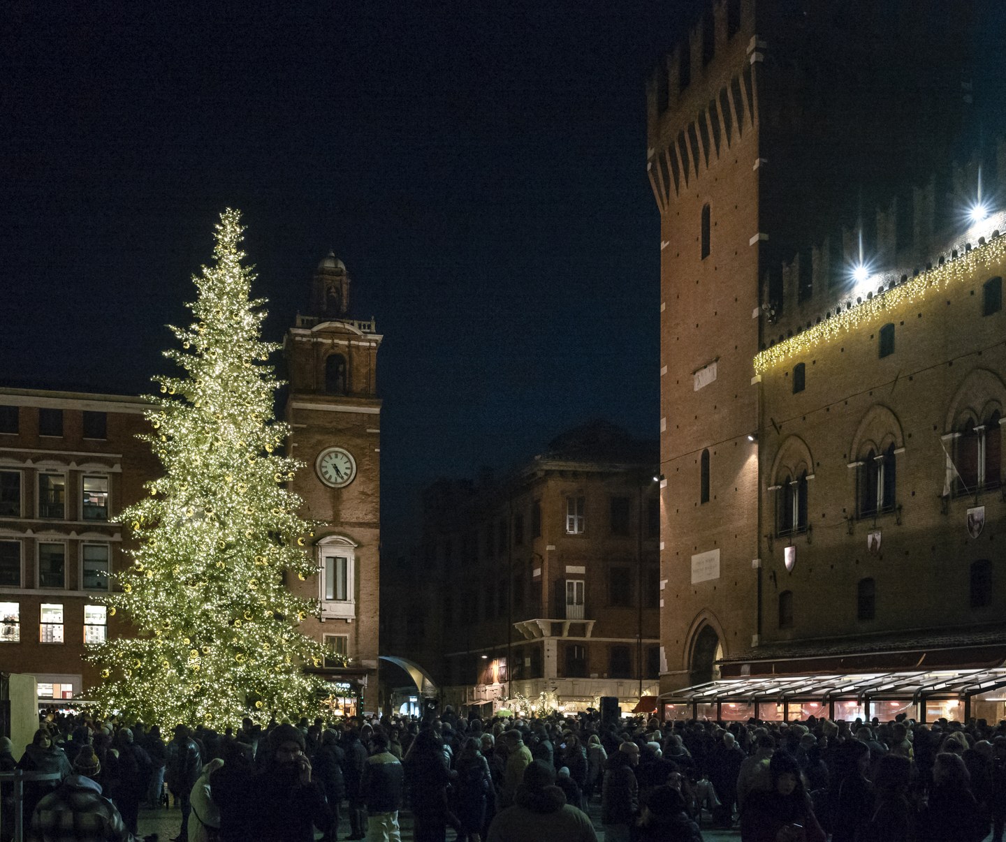 Albero di Natale in Piazza Cattedrale
